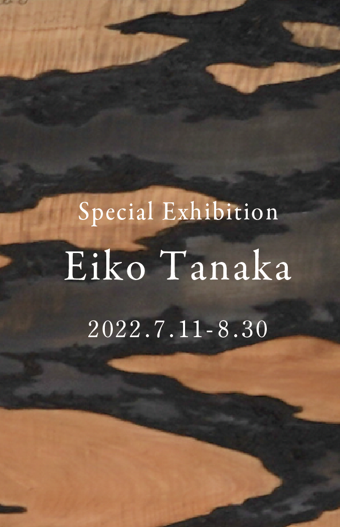 Special exhibition Eiko Tanaka ／田中瑛子｜2022.7.11-8.30